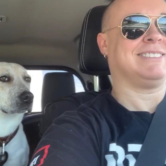 Meet your Posher, Harper - Picture 3 of 13